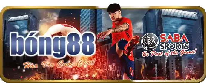 Trận đấu bóng đá sôi động tại 566bet login